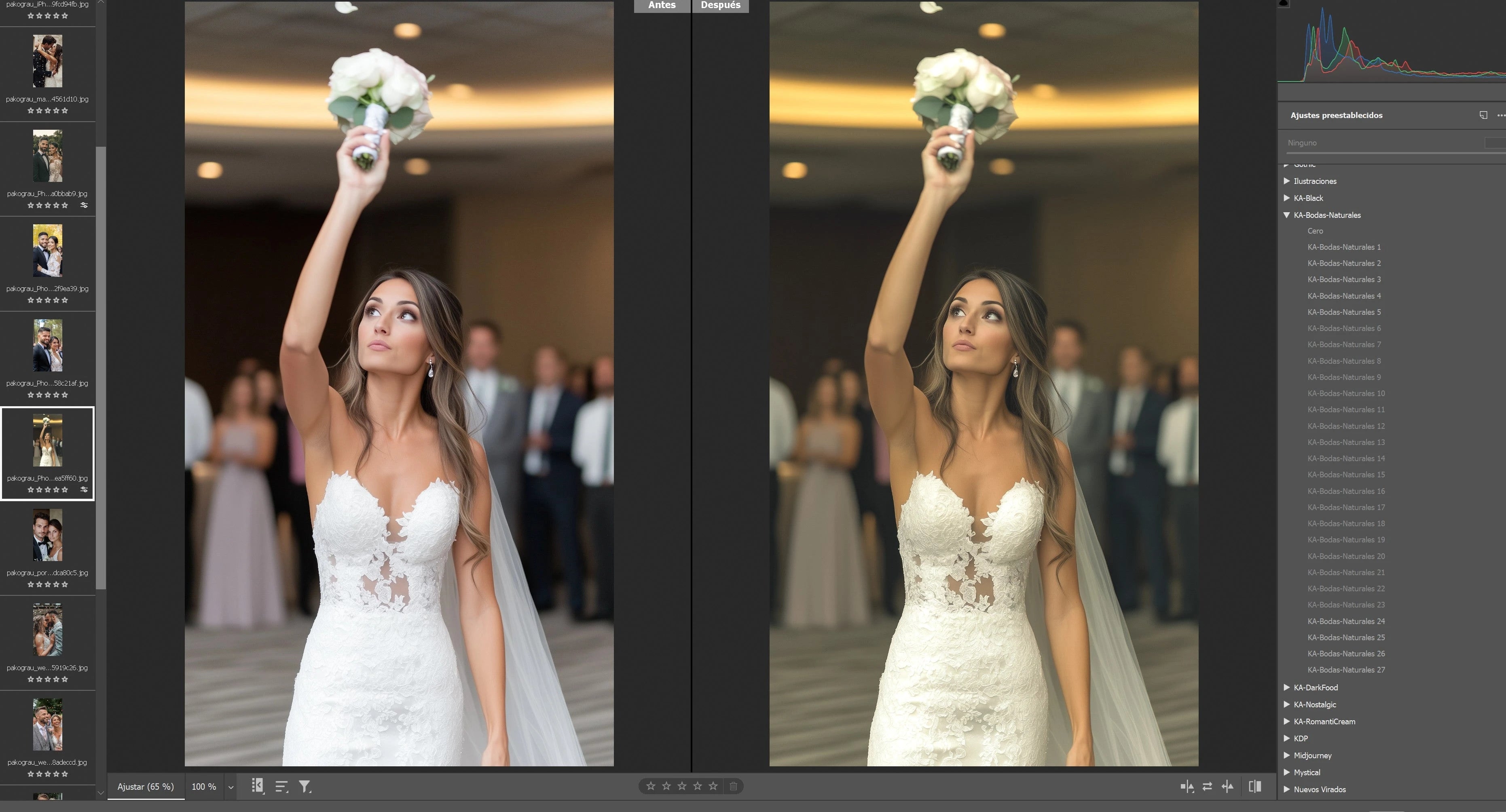 Presets para Lightroom y Photoshop