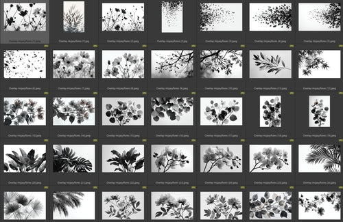 overlay hojas y floresi ndice 1