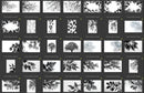 overlay hojas y floresi ndice 2