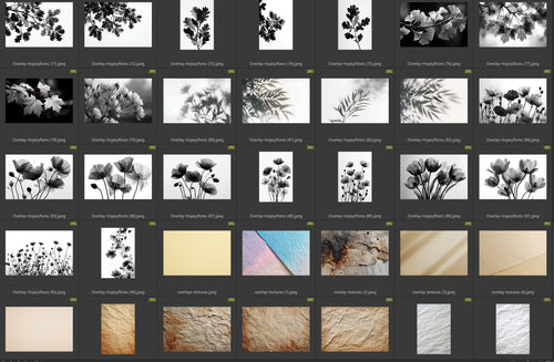 overlay hojas y floresi ndice  3