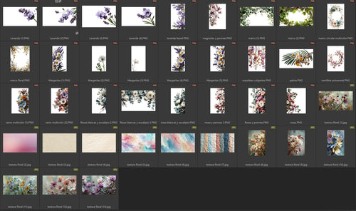 overlays florales indice 2