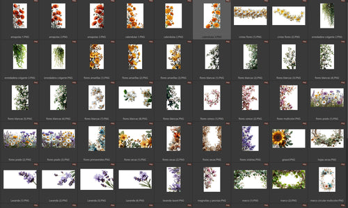 Overlays florales indice 2