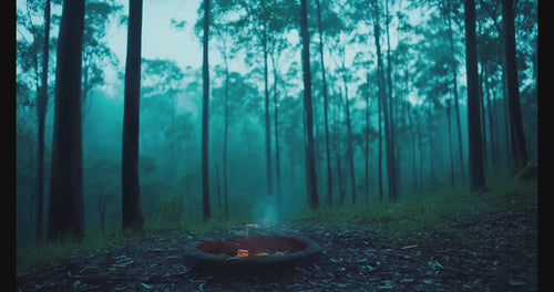 Overlays de Fuego, llamas y brasas en 4K